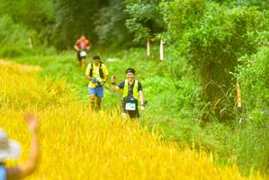 BIB: 
                            <button type="button" onclick="openModal(13456296)" class="btn btn-primary btn-sm float-right btn-popup" data-toggle="modal" data-target=".modal-high-quality">
                        <i class="fas fa-shopping-cart"></i> Add to Cart
                    </button>
                                            <button type="button" onclick="isThisMe(13456296, true)" class="btn btn-success btn-sm float-right btn-popup btn-isme hidden" data-toggle="tooltip" data-placement="bottom" title="นี่คือรูปของคุณใช่ไหม คลิกที่นี่เพื่อเอาเข้าอัลบั้ม">
                        <i class="fas fa-plus"></i> Add to album
                    </button>
                    <button type="button" onclick="isThisMe(13456296, false)" class="btn btn-warning btn-sm float-right btn-popup btn-isnotme hidden">
                        <i class="fas fa-ban"></i> Remove from album
                    </button>